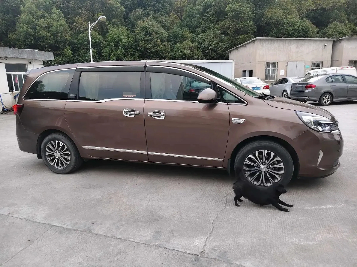 2021 Buick GL8 2.0T 237HP L4 9AT,autocango,china used car exporter,china ev exporter,chinese used car exporter,chinese used ev exporter