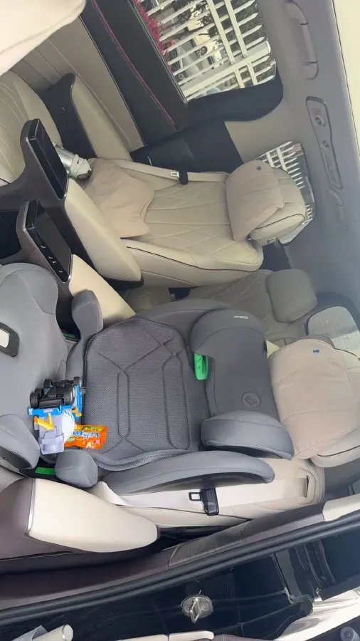 2024 Denza D9 1.5T 139HP L4 E-CVT PHEV 40KWH,autocango,china used car exporter,china ev exporter,chinese used car exporter,chinese used ev exporter