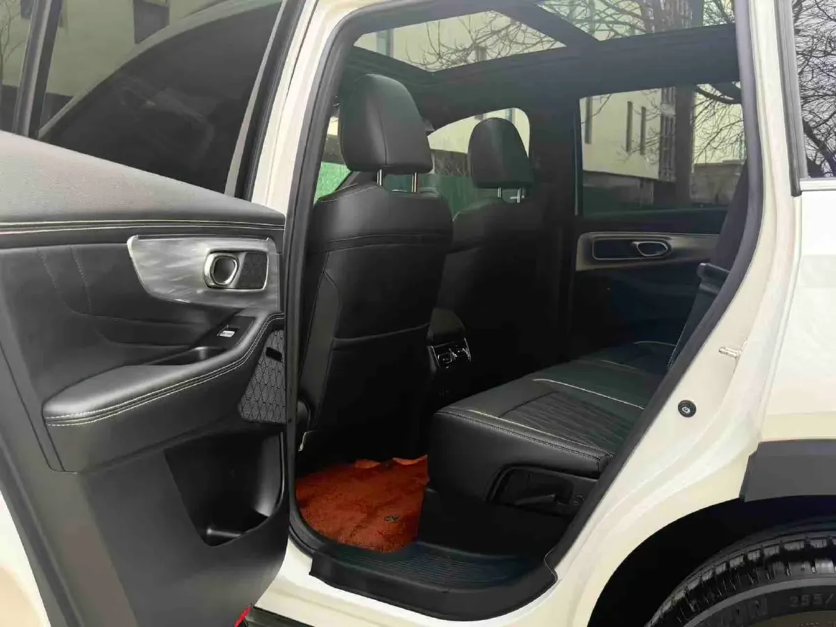 2024 GAC Trumpchi GS8 2.0T 252HP L4 8AT,autocango,china used car exporter,china ev exporter,chinese used car exporter,chinese used ev exporter