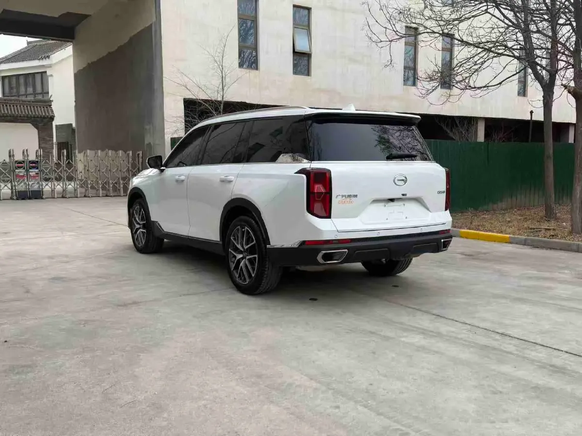 2024 GAC Trumpchi GS8 2.0T 252HP L4 8AT,autocango,china used car exporter,china ev exporter,chinese used car exporter,chinese used ev exporter