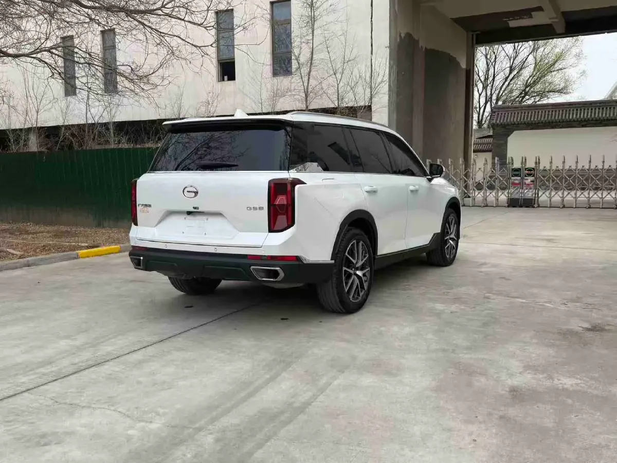 2024 GAC Trumpchi GS8 2.0T 252HP L4 8AT,autocango,china used car exporter,china ev exporter,chinese used car exporter,chinese used ev exporter