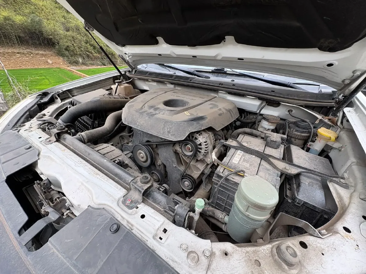 2019 Isuzu RE-MAX Jim 2.0T 204HP L4 5MT,autocango,china used car exporter,china ev exporter,chinese used car exporter,chinese used ev exporter