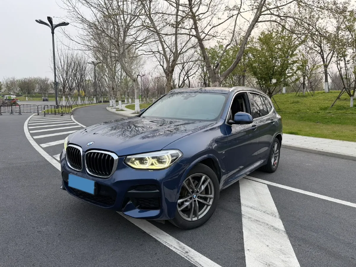 2021 BMW X3 2.0T 224HP L4 8AT,autocango,china used car exporter,china ev exporter,chinese used car exporter,chinese used ev exporter