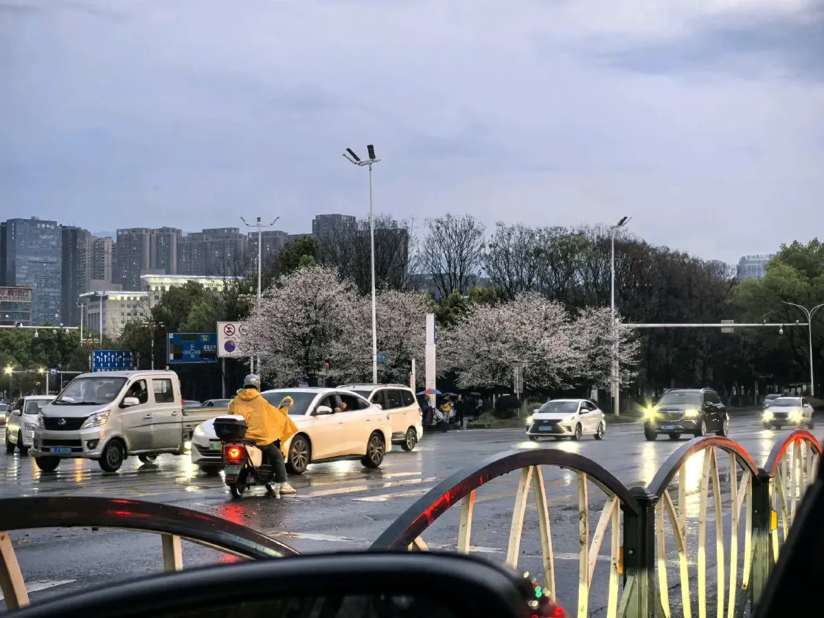 2024 Geely Monjaro 2.0T 218HP L4 7DCT,autocango,china used car exporter,china ev exporter,chinese used car exporter,chinese used ev exporter