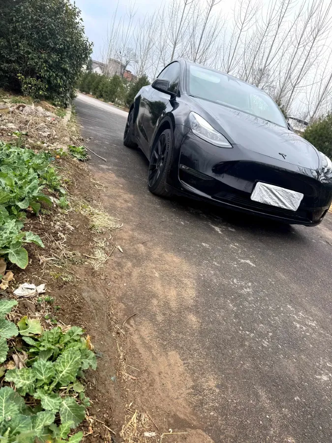 2021 Tesla Model Y BEV 76.8KWH,autocango,china used car exporter,china ev exporter,chinese used car exporter,chinese used ev exporter