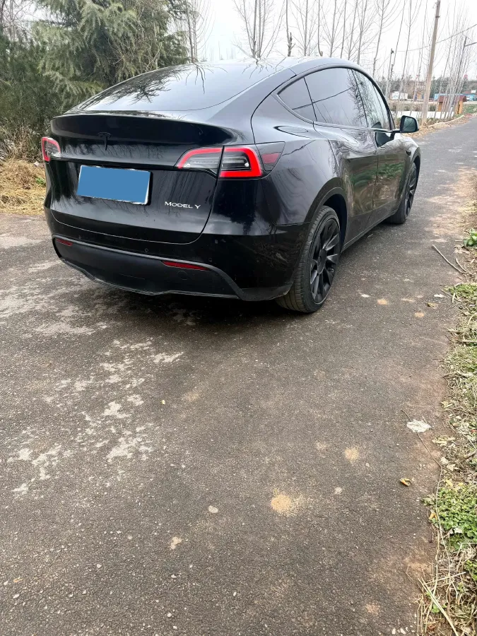 2021 Tesla Model Y BEV 76.8KWH,autocango,china used car exporter,china ev exporter,chinese used car exporter,chinese used ev exporter