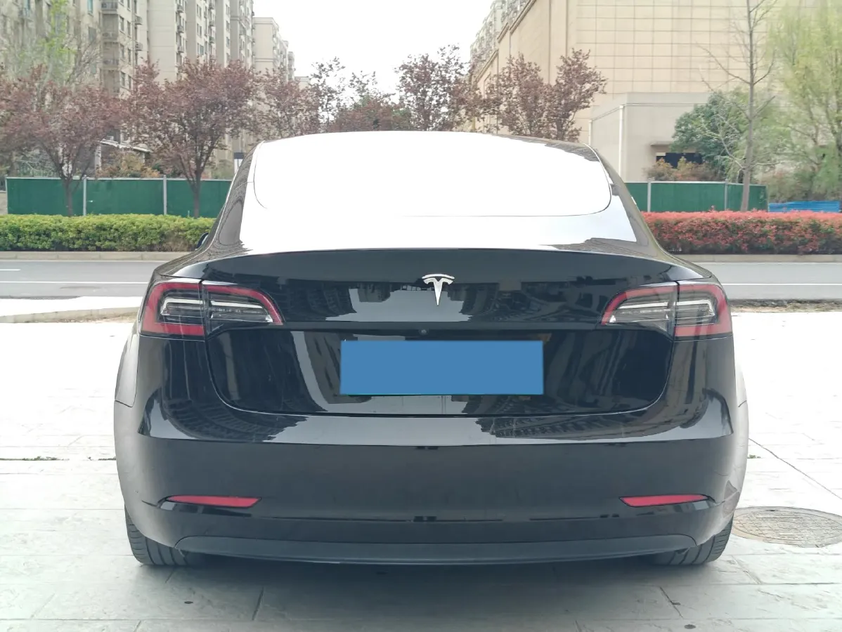 2020 Tesla Model 3 BEV 55KWH,autocango,china used car exporter,china ev exporter,chinese used car exporter,chinese used ev exporter