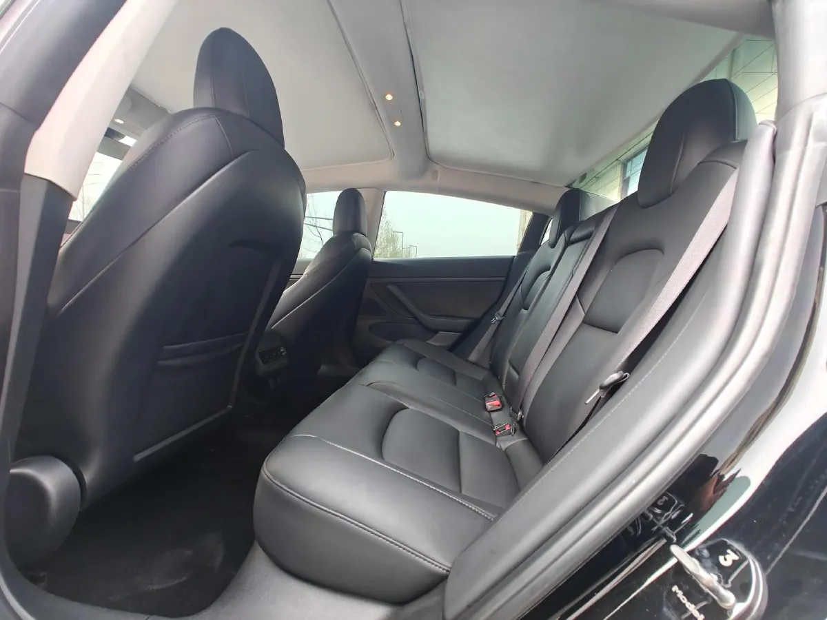 2020 Tesla Model 3 BEV 55KWH,autocango,china used car exporter,china ev exporter,chinese used car exporter,chinese used ev exporter