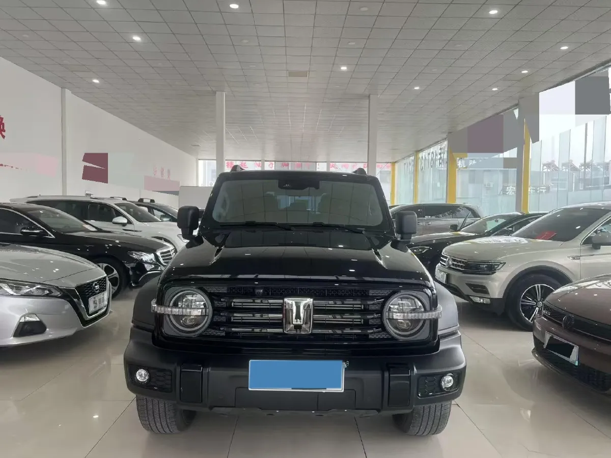 2024 Tank 300 2.0T 227HP L4 8AT,autocango,china used car exporter,china ev exporter,chinese used car exporter,chinese used ev exporter