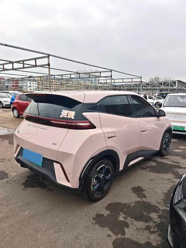 2024 BYD Seagull BEV 38.88KWH,autocango,china used car exporter,china ev exporter,chinese used car exporter,chinese used ev exporter