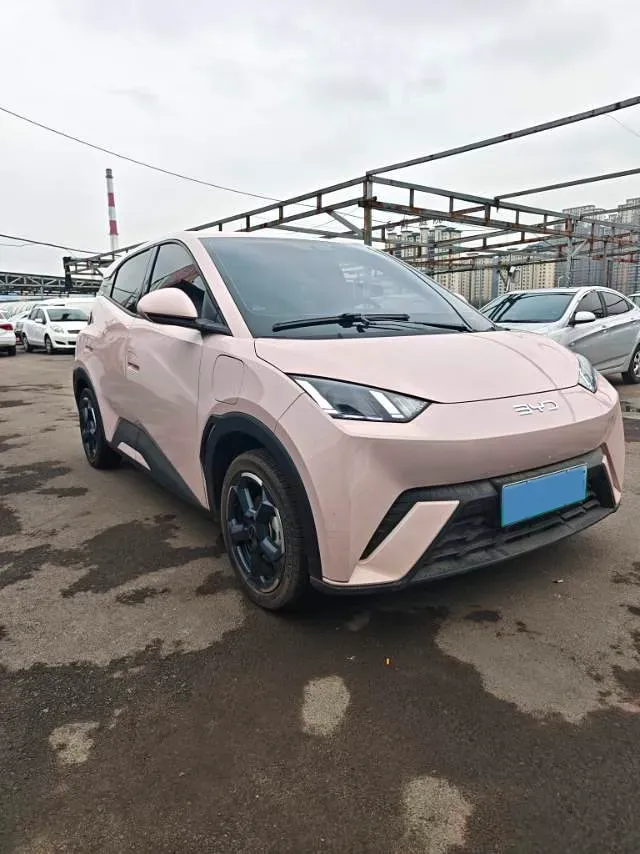 2024 BYD Seagull BEV 38.88KWH,autocango,china used car exporter,china ev exporter,chinese used car exporter,chinese used ev exporter