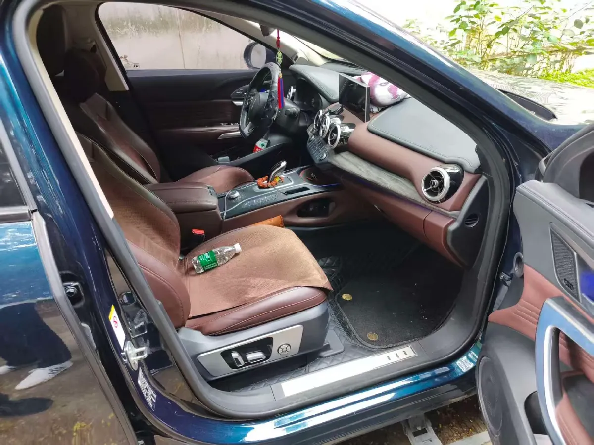 2020 WEY VV7 2.0T 227HP L4 7DCT,autocango,china used car exporter,china ev exporter,chinese used car exporter,chinese used ev exporter