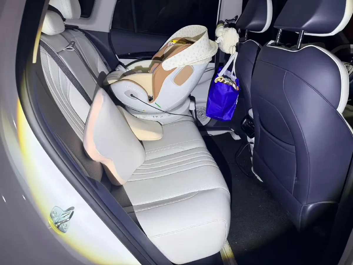 2024 Great Wall Poer 2.4T 186HP L4 9AT,autocango,china used car exporter,china ev exporter,chinese used car exporter,chinese used ev exporter