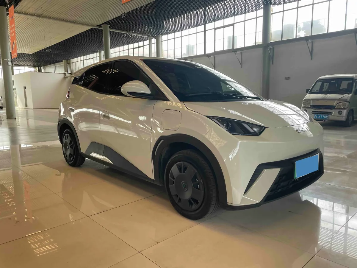 2024 BYD Seagull BEV 30.08KWH,autocango,china used car exporter,china ev exporter,chinese used car exporter,chinese used ev exporter