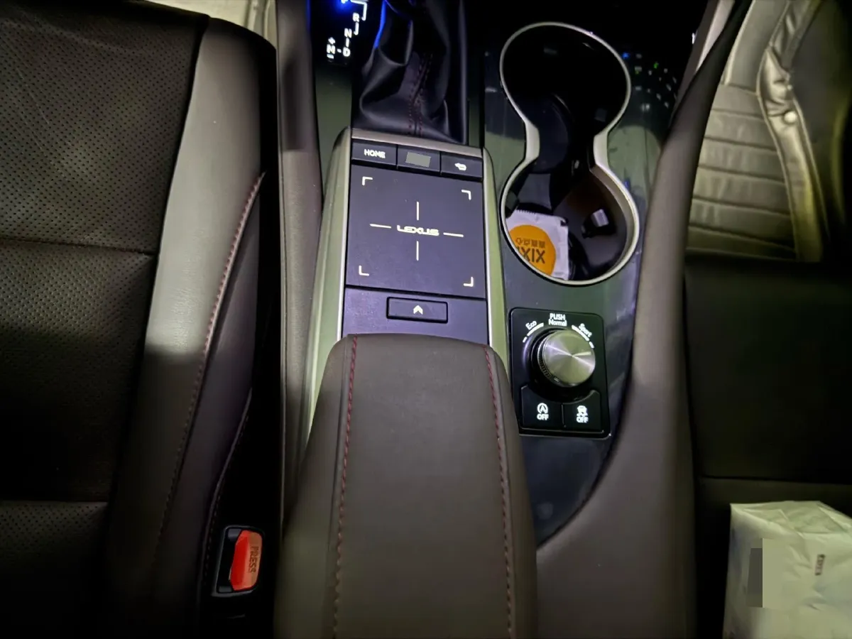 2020 Lexus RX 2.0T 231HP L4 6AT,autocango,china used car exporter,china ev exporter,chinese used car exporter,chinese used ev exporter