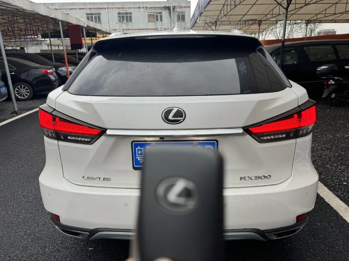 2020 Lexus RX 2.0T 231HP L4 6AT,autocango,china used car exporter,china ev exporter,chinese used car exporter,chinese used ev exporter