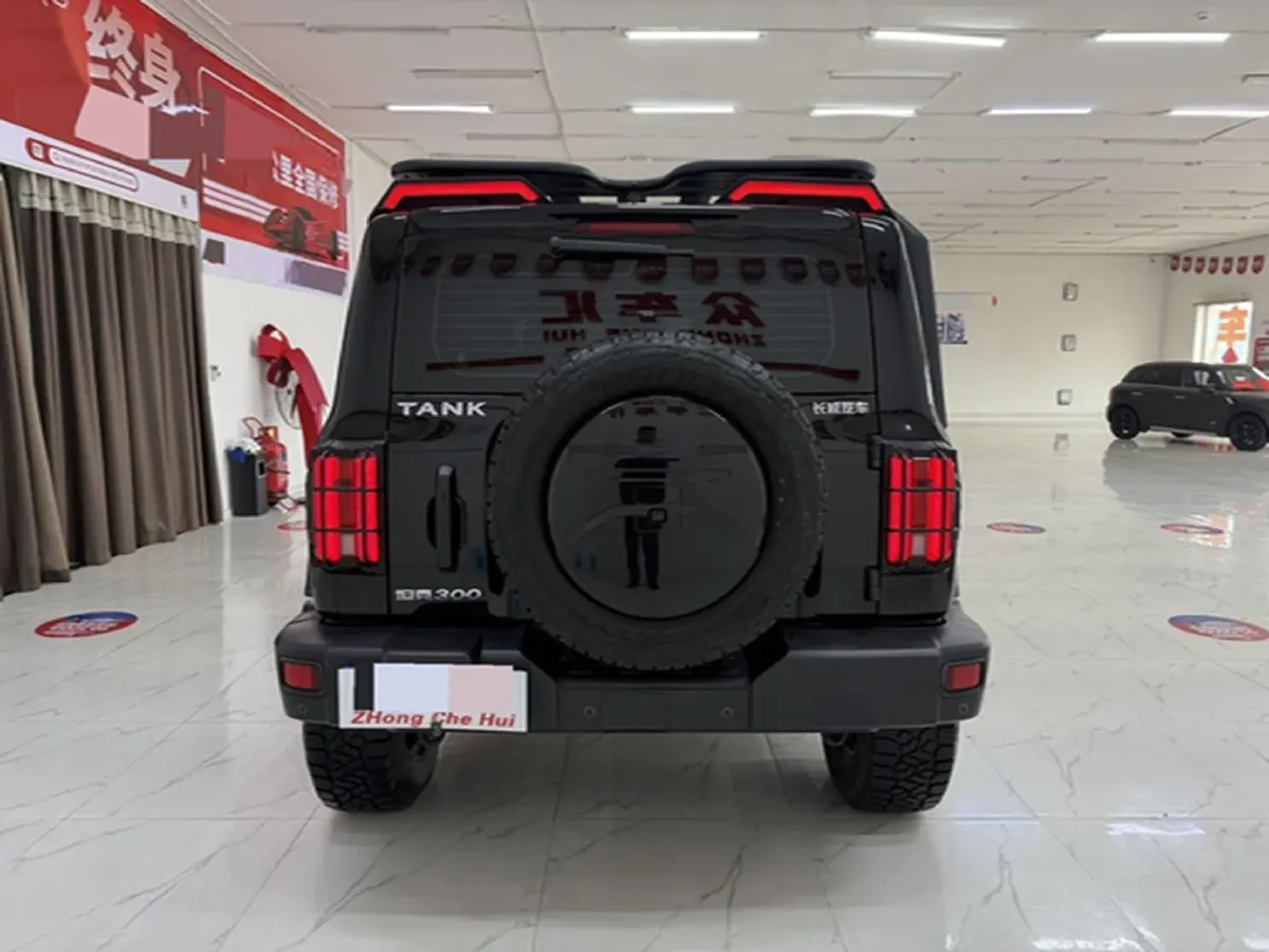 2021 Tank 300 2.0T 227HP L4 8AT,autocango,china used car exporter,china ev exporter,chinese used car exporter,chinese used ev exporter
