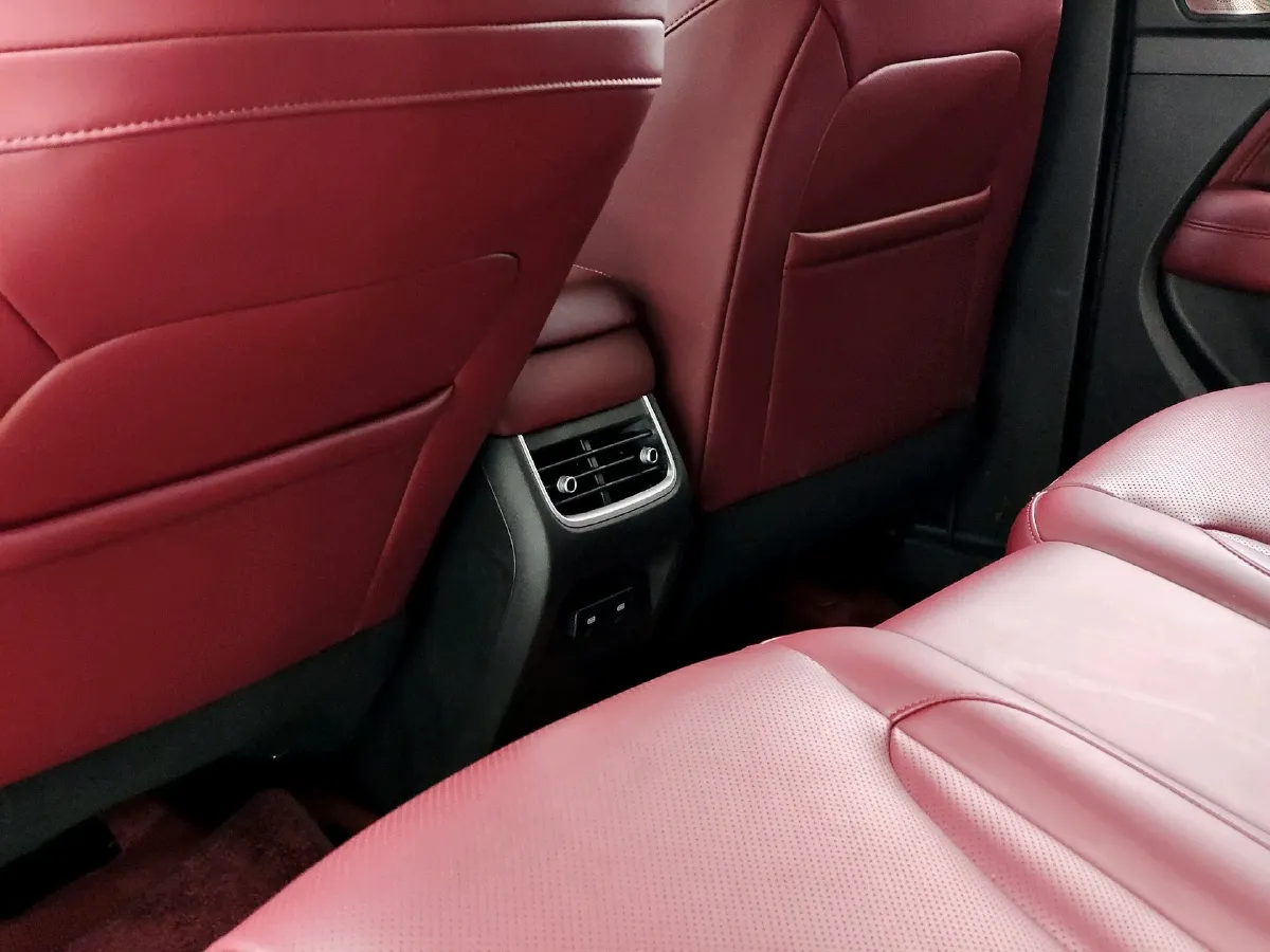 2025 Tank 300 2.4T 186HP L4 9AT,autocango,china used car exporter,china ev exporter,chinese used car exporter,chinese used ev exporter