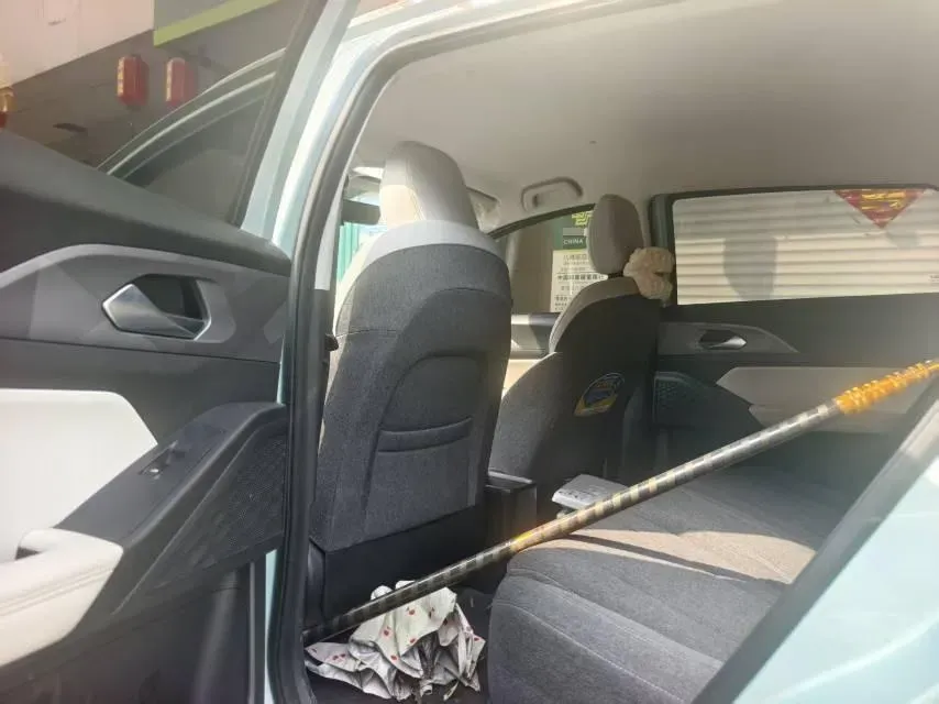 2024 Geometry E BEV 29.67KWH,autocango,china used car exporter,china ev exporter,chinese used car exporter,chinese used ev exporter