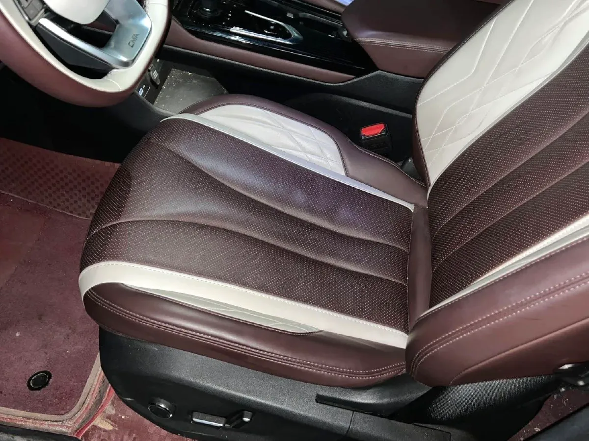 2024 Geely Monjaro 2.0T 238HP L4 8AT,autocango,china used car exporter,china ev exporter,chinese used car exporter,chinese used ev exporter