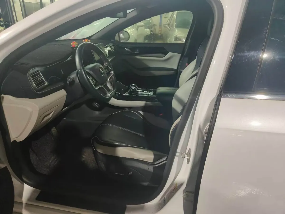 2021 DongFeng FuKang e Elysee BEV 30.7KWH,autocango,china used car exporter,china ev exporter,chinese used car exporter,chinese used ev exporter