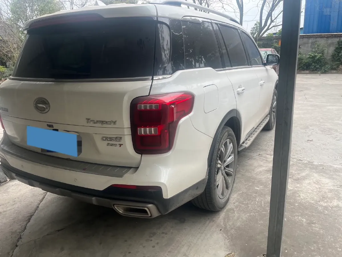 2020 GAC Trumpchi GS8 2.0T 252HP L4 6AT,autocango,china used car exporter,china ev exporter,chinese used car exporter,chinese used ev exporter