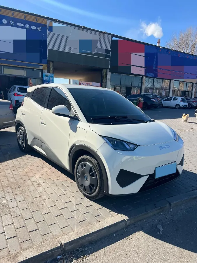 2025 BYD Seagull BEV 30.08KWH,autocango,china used car exporter,china ev exporter,chinese used car exporter,chinese used ev exporter