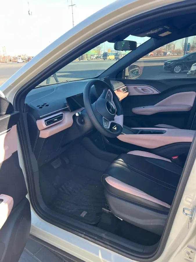 2025 BYD Seagull BEV 30.08KWH,autocango,china used car exporter,china ev exporter,chinese used car exporter,chinese used ev exporter