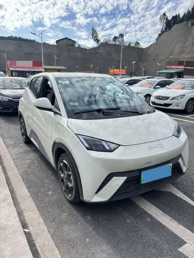 2024 BYD Seagull BEV 30.08KWH,autocango,china used car exporter,china ev exporter,chinese used car exporter,chinese used ev exporter