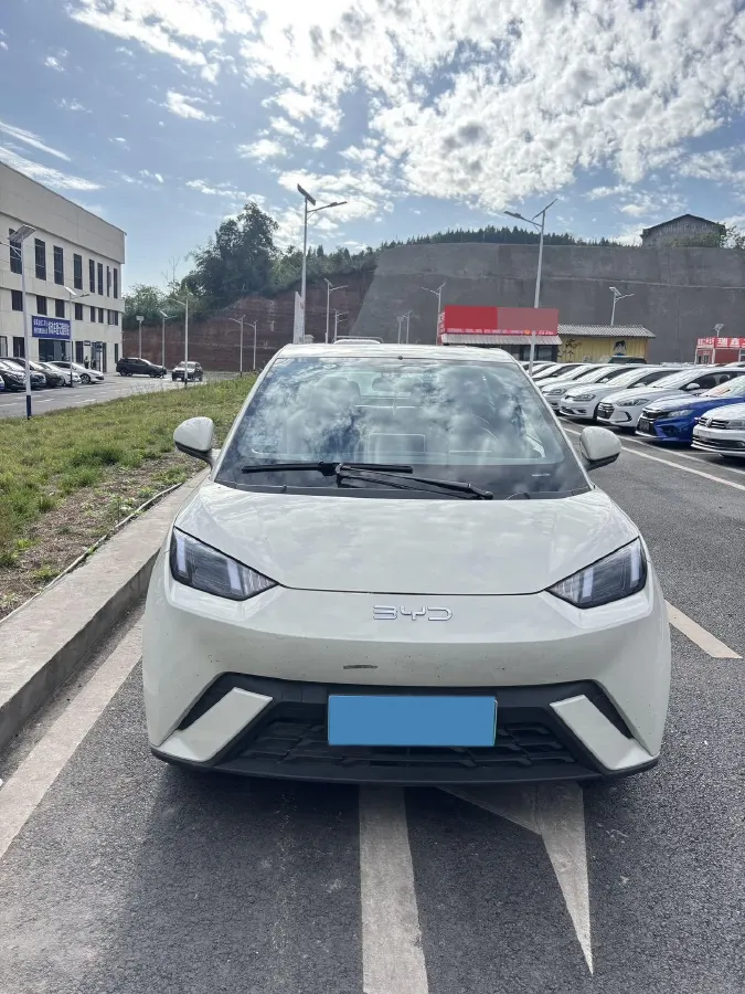 2024 BYD Seagull BEV 30.08KWH,autocango,china used car exporter,china ev exporter,chinese used car exporter,chinese used ev exporter