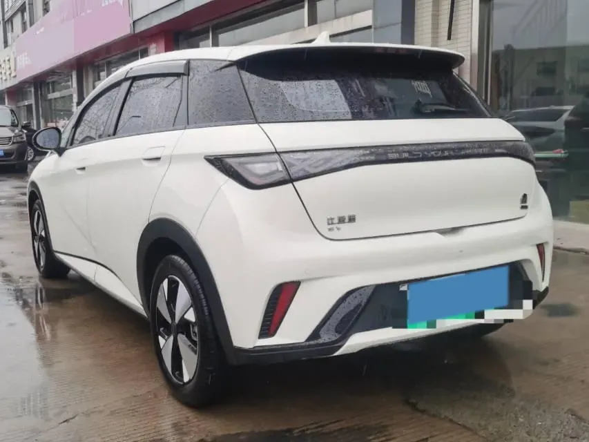 2023 BYD Dolphin BEV 44.928KWH,autocango,china used car exporter,china ev exporter,chinese used car exporter,chinese used ev exporter