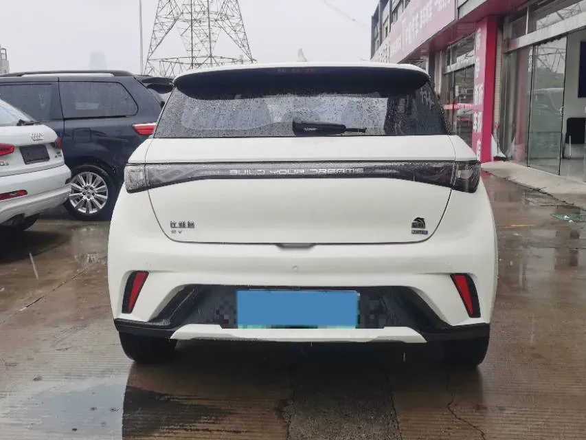 2023 BYD Dolphin BEV 44.928KWH,autocango,china used car exporter,china ev exporter,chinese used car exporter,chinese used ev exporter