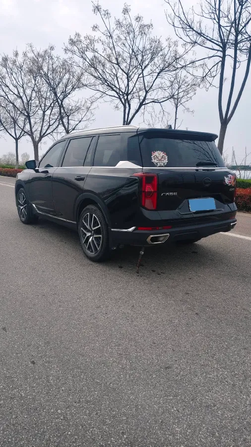 2022 GAC Trumpchi GS8 2.0T 252HP L4 8AT,autocango,china used car exporter,china ev exporter,chinese used car exporter,chinese used ev exporter