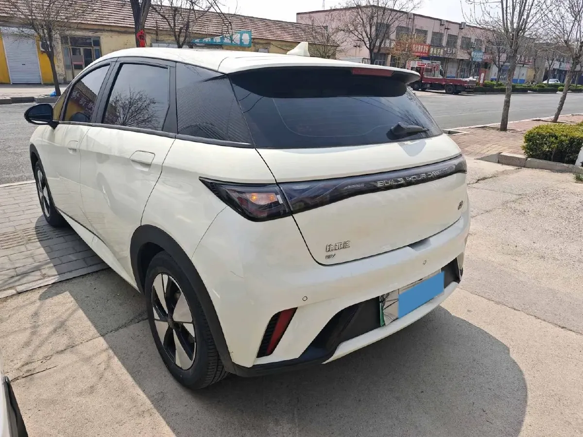 2023 BYD Dolphin BEV 44.928KWH,autocango,china used car exporter,china ev exporter,chinese used car exporter,chinese used ev exporter