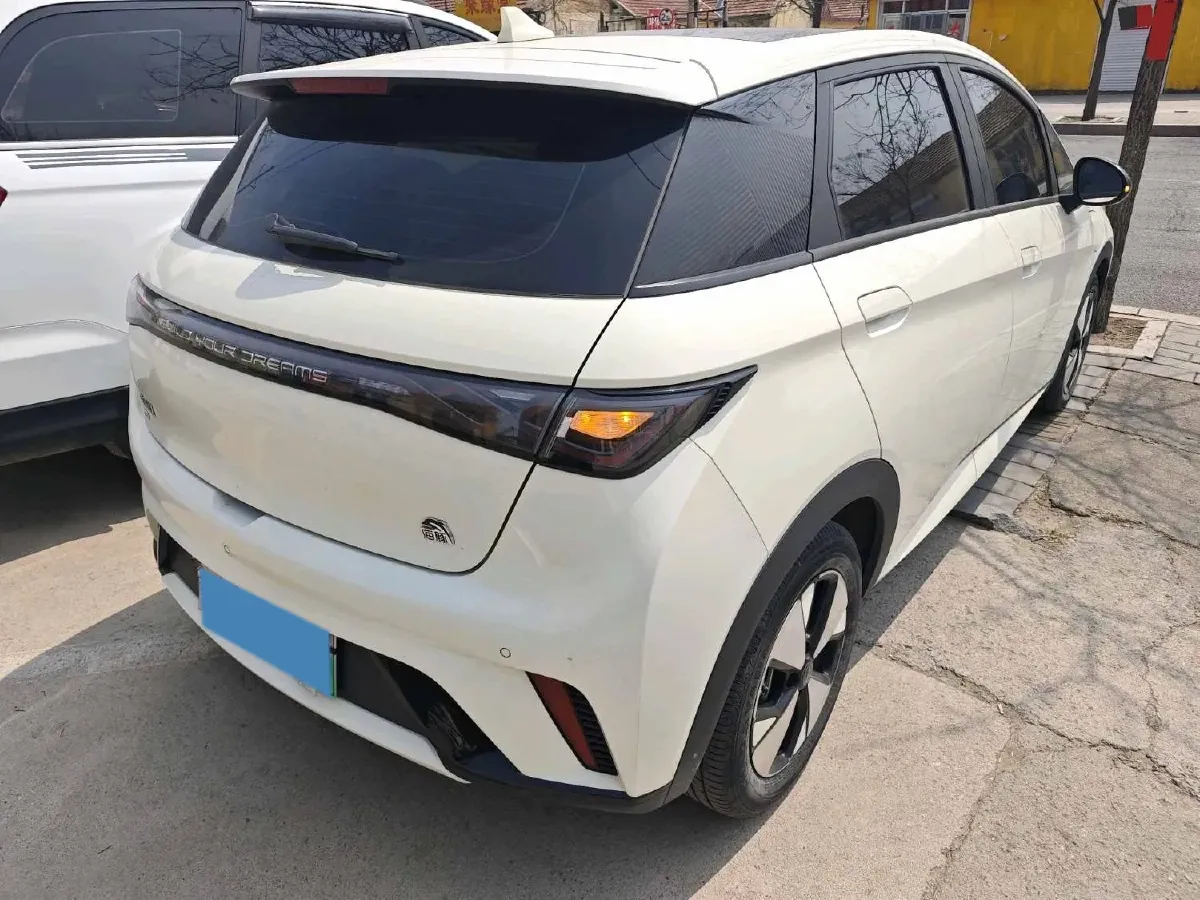 2023 BYD Dolphin BEV 44.928KWH,autocango,china used car exporter,china ev exporter,chinese used car exporter,chinese used ev exporter