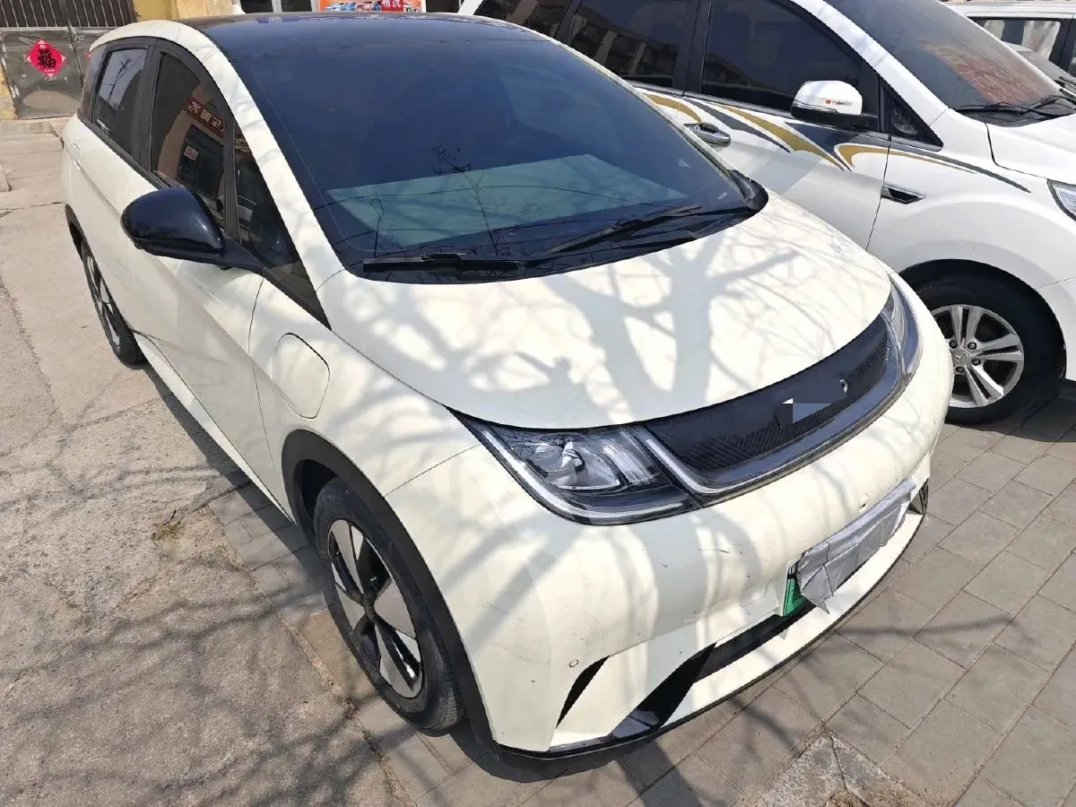 2023 BYD Dolphin BEV 44.928KWH,autocango,china used car exporter,china ev exporter,chinese used car exporter,chinese used ev exporter