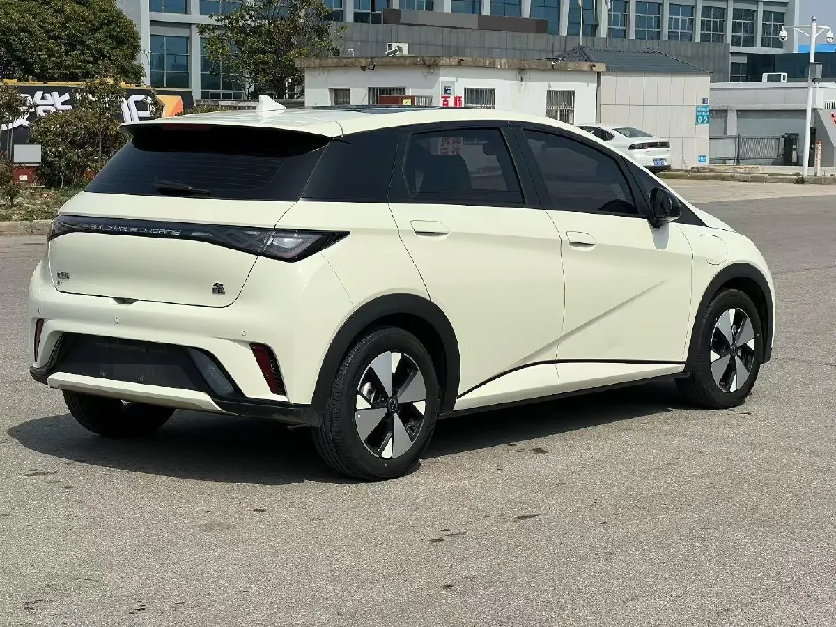 2023 BYD Dolphin BEV 44.928KWH,autocango,china used car exporter,china ev exporter,chinese used car exporter,chinese used ev exporter