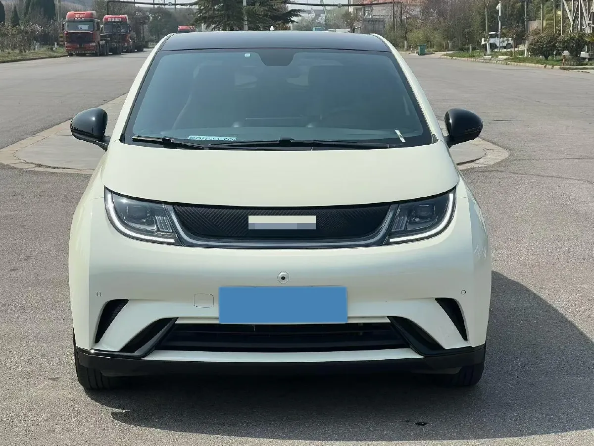 2023 BYD Dolphin BEV 44.928KWH,autocango,china used car exporter,china ev exporter,chinese used car exporter,chinese used ev exporter