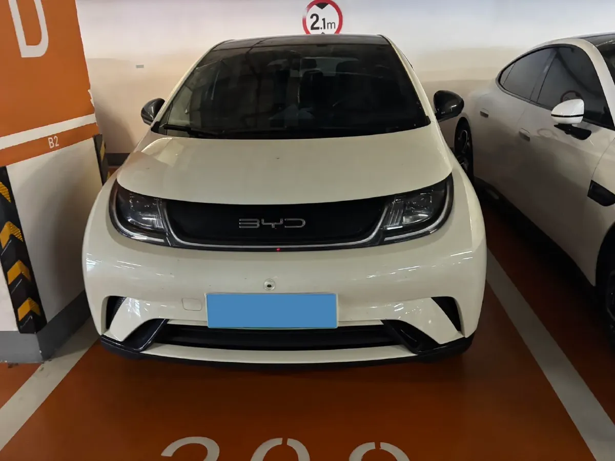 2021 BYD Yuan Pro BEV 50.1KWH,autocango,china used car exporter,china ev exporter,chinese used car exporter,chinese used ev exporter
