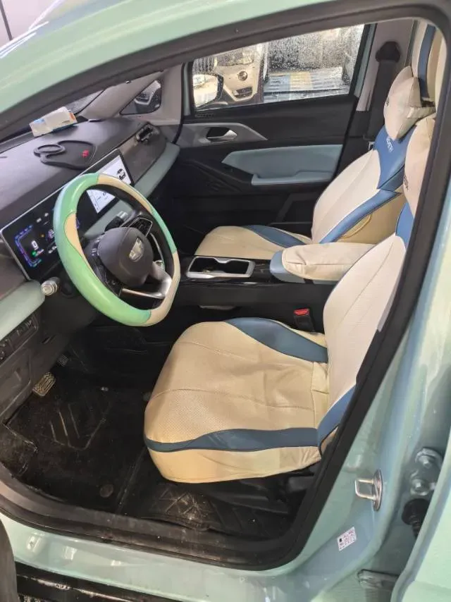 2024 Geometry E BEV 39.3KWH,autocango,china used car exporter,china ev exporter,chinese used car exporter,chinese used ev exporter