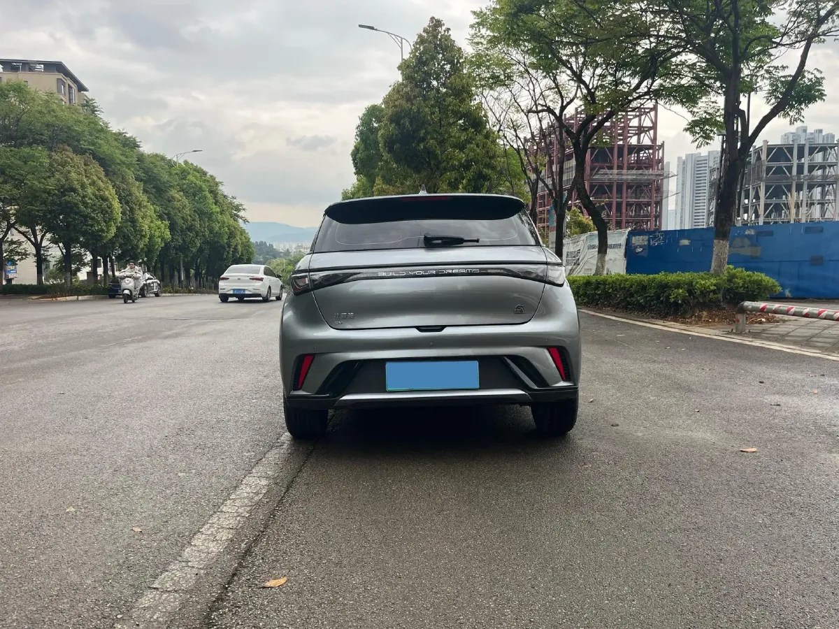 2023 BYD Dolphin BEV 44.928KWH,autocango,china used car exporter,china ev exporter,chinese used car exporter,chinese used ev exporter