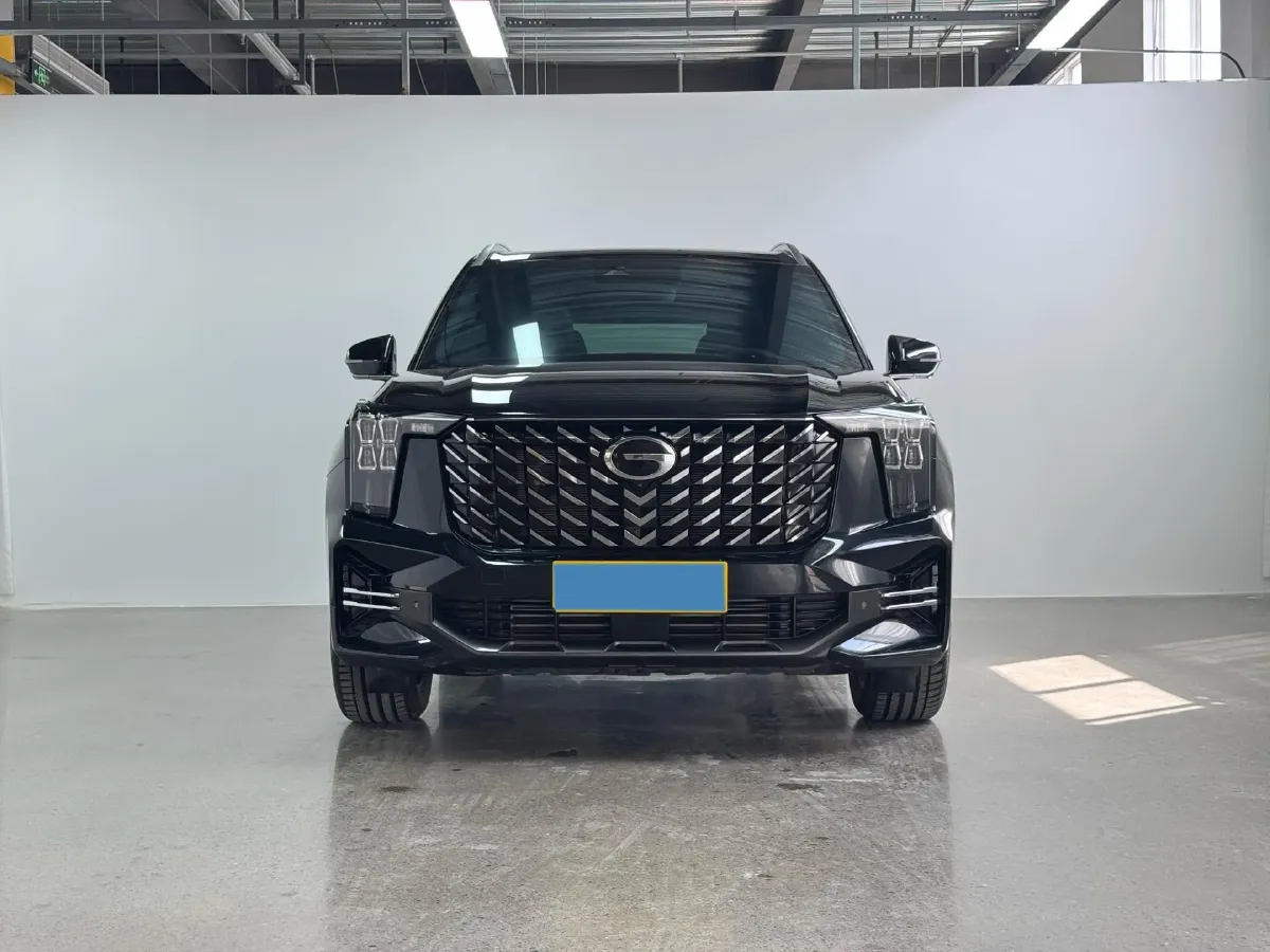 2025 GAC Trumpchi GS8 2.0T 252HP L4 8AT,autocango,china used car exporter,china ev exporter,chinese used car exporter,chinese used ev exporter