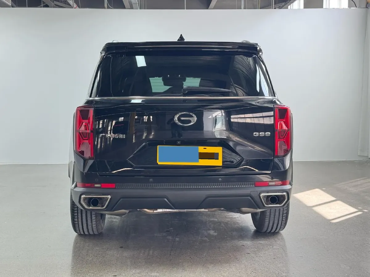 2025 GAC Trumpchi GS8 2.0T 252HP L4 8AT,autocango,china used car exporter,china ev exporter,chinese used car exporter,chinese used ev exporter