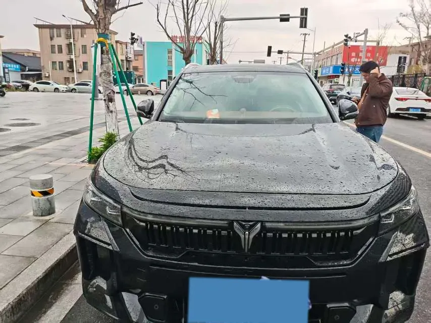 2024 Voyah FREE 1.5T 150HP L4 REEV 39.2KWH,autocango,china used car exporter,china ev exporter,chinese used car exporter,chinese used ev exporter