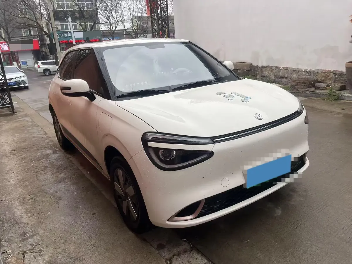 2025 DongFeng Nammi 01 BEV,autocango,china used car exporter,china ev exporter,chinese used car exporter,chinese used ev exporter