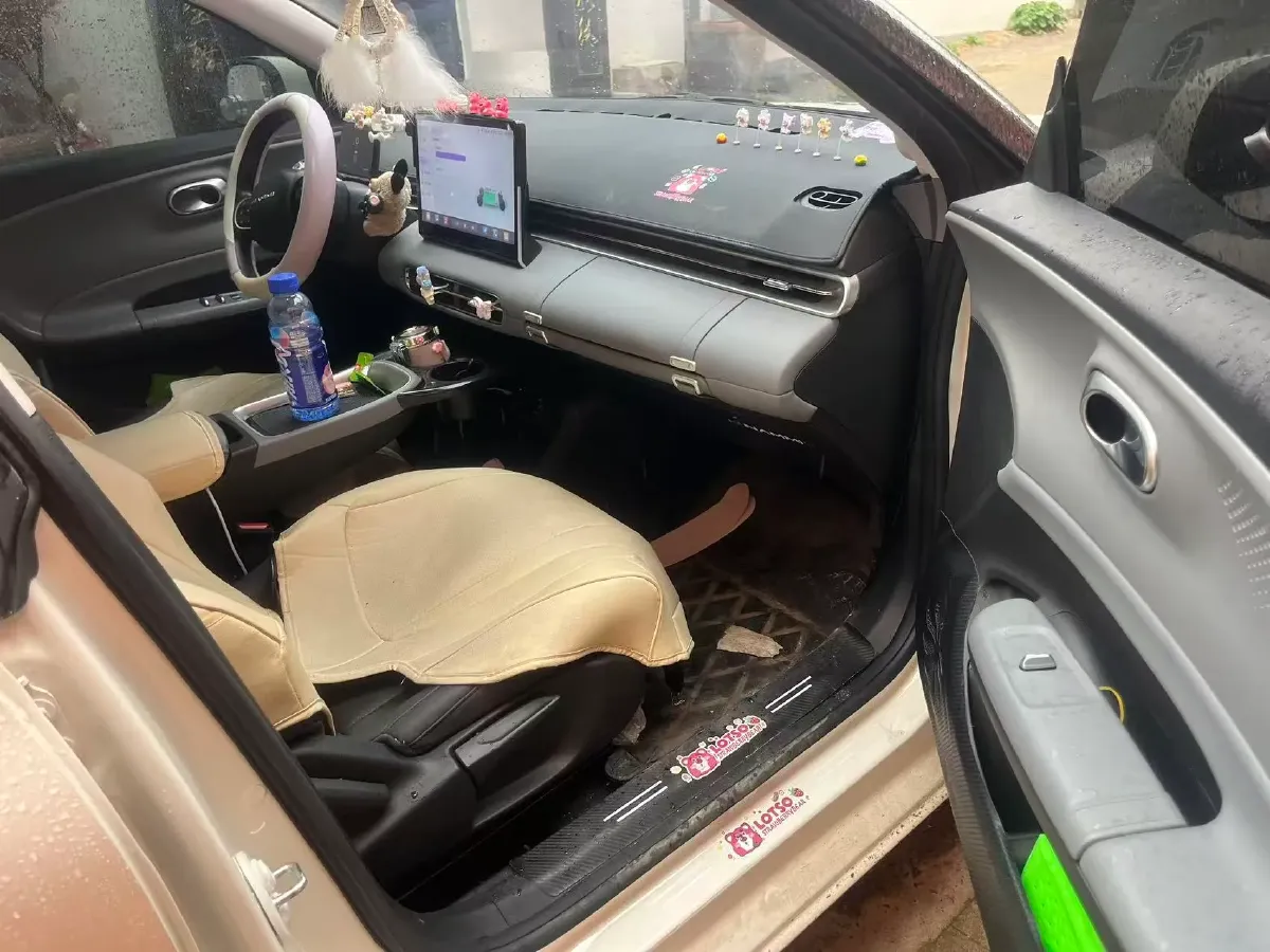 2025 DongFeng Nammi 01 BEV,autocango,china used car exporter,china ev exporter,chinese used car exporter,chinese used ev exporter