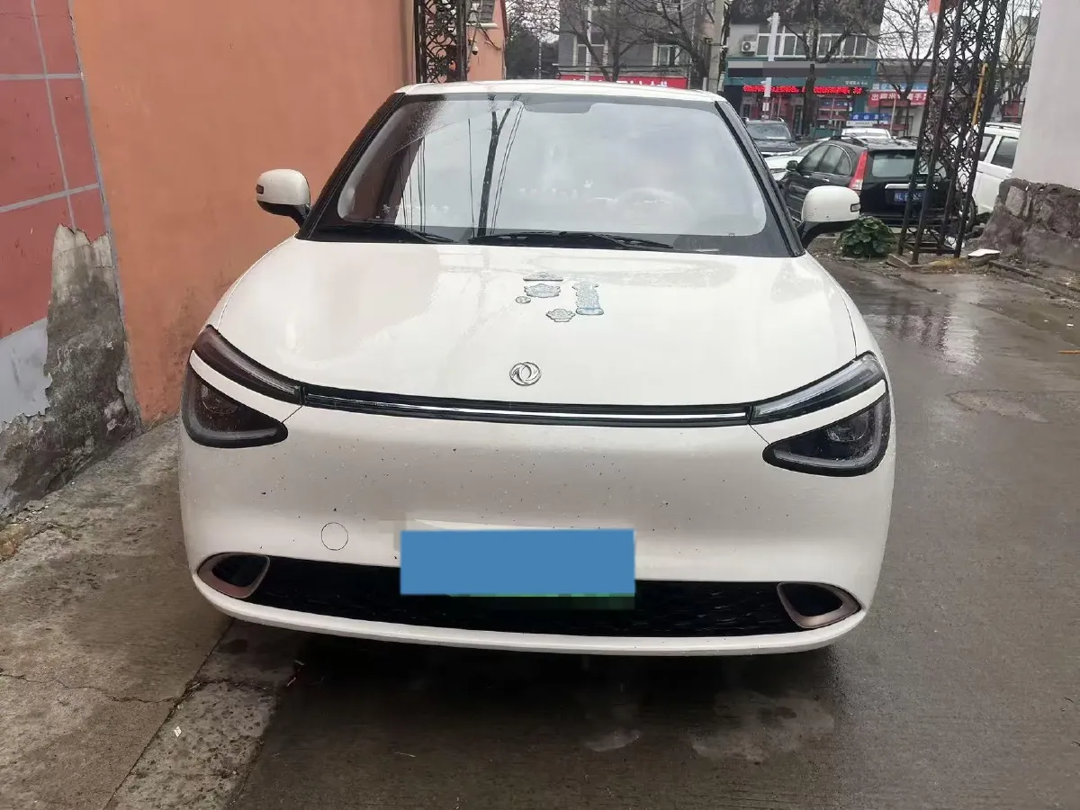 2025 DongFeng Nammi 01 BEV,autocango,china used car exporter,china ev exporter,chinese used car exporter,chinese used ev exporter