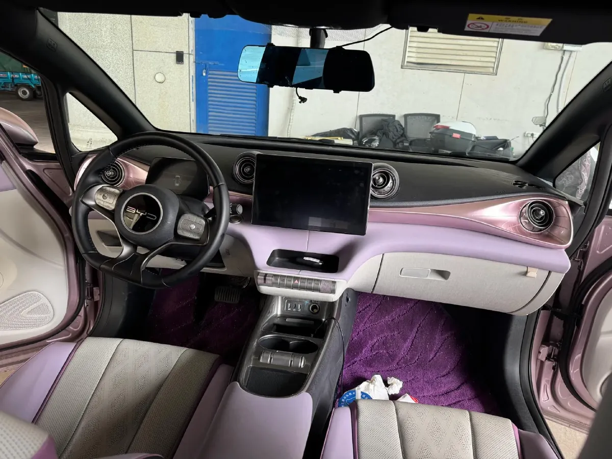 2023 BYD Dolphin BEV 44.928KWH,autocango,china used car exporter,china ev exporter,chinese used car exporter,chinese used ev exporter