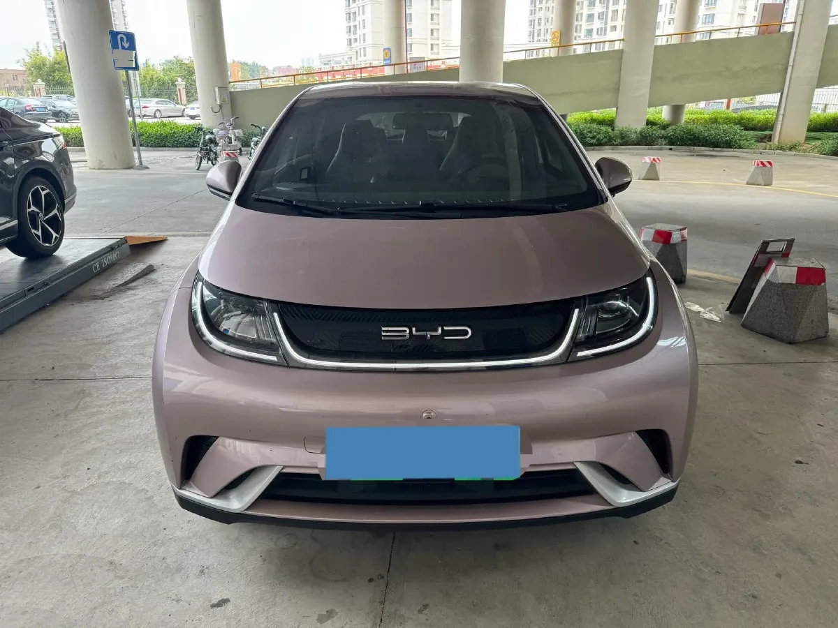 2023 BYD Dolphin BEV 44.928KWH,autocango,china used car exporter,china ev exporter,chinese used car exporter,chinese used ev exporter