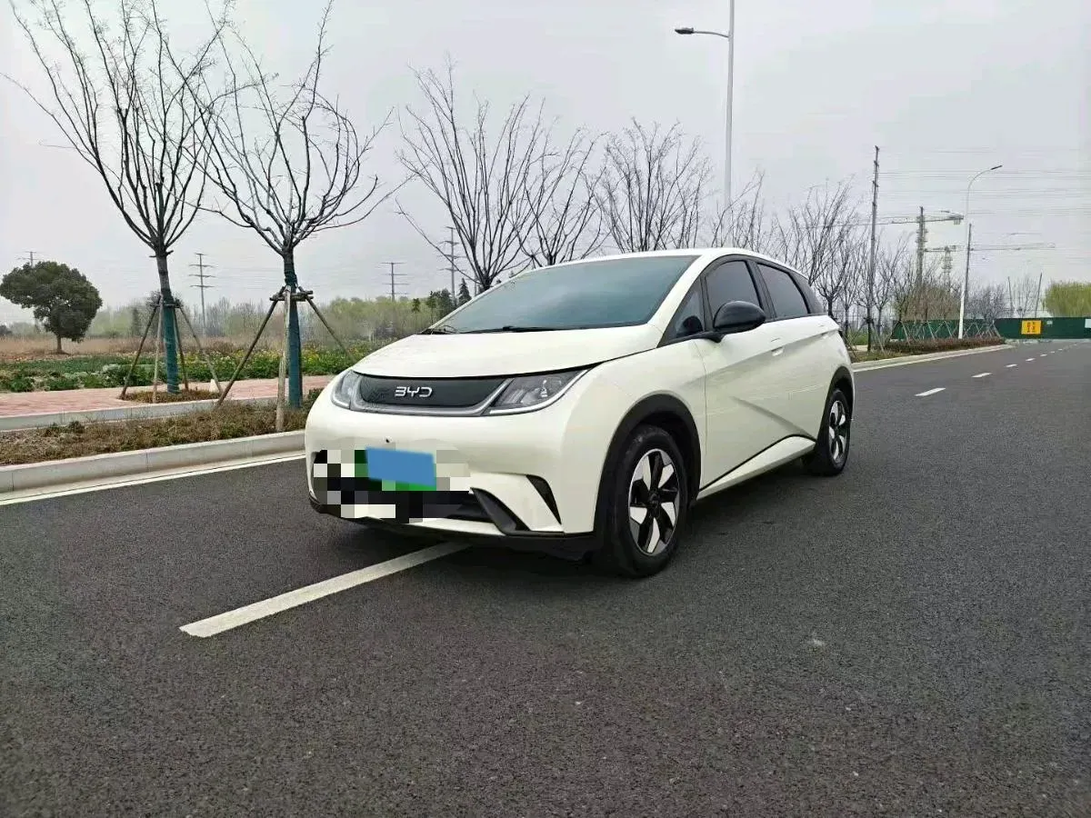 2025 BYD Dolphin BEV 44.928KWH,autocango,china used car exporter,china ev exporter,chinese used car exporter,chinese used ev exporter